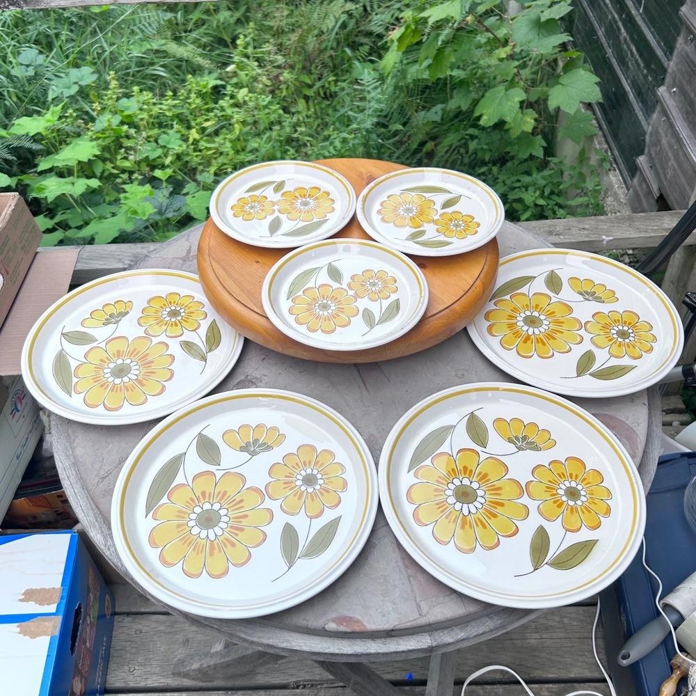 Vintage Dinner Plate Set 7pc Yellow Daisy Retro Happy Light N Lively Mikasa